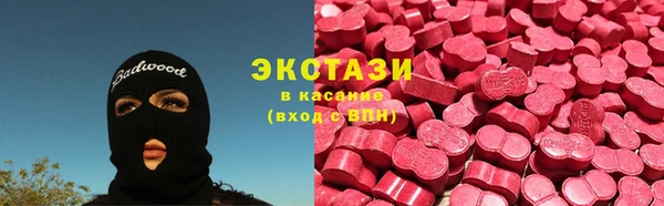 хмурый Аркадак