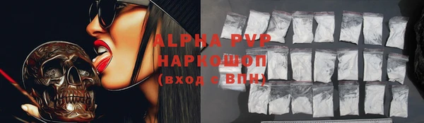 хмурый Аркадак