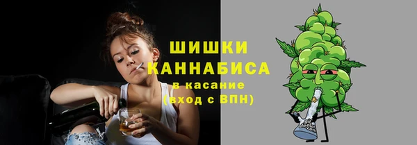 хмурый Аркадак