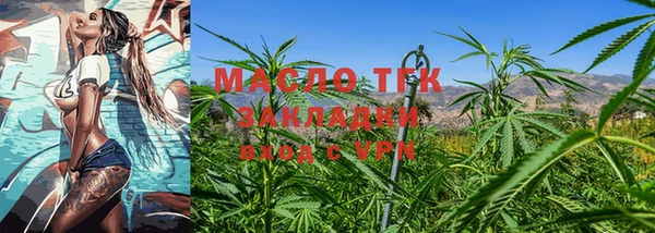 хмурый Аркадак