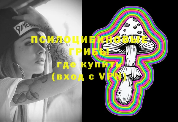 хмурый Аркадак
