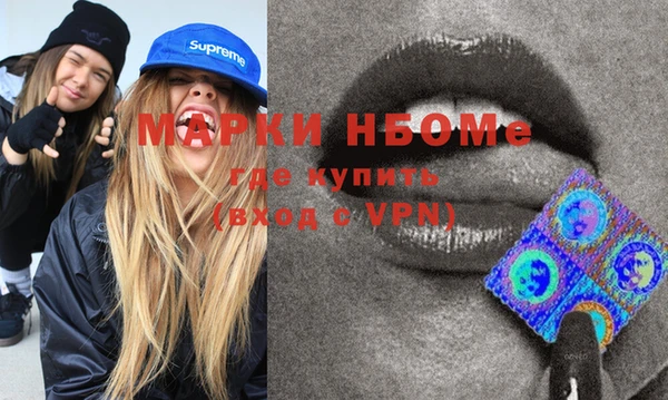 молекула духа Арсеньев