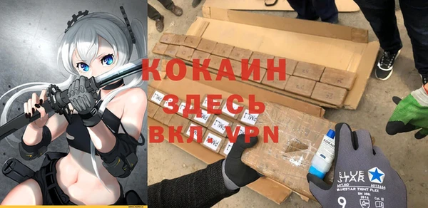 молекула духа Арсеньев