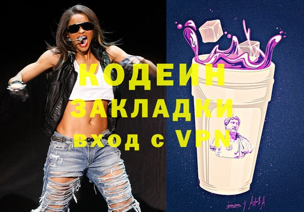 хмурый Аркадак