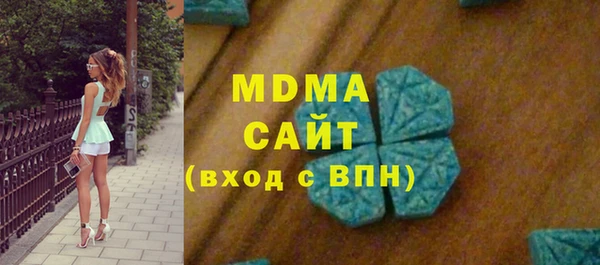 хмурый Аркадак