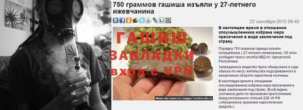 хмурый Аркадак
